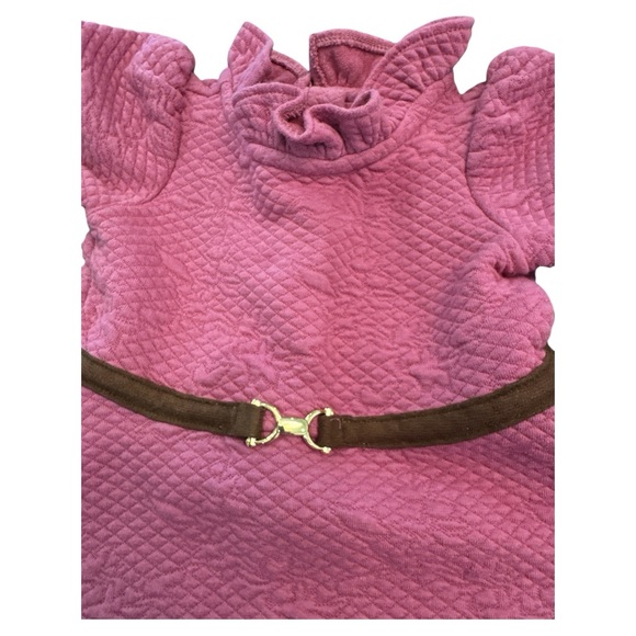 Janie and Jack 6-12 Month Dress with Brown Belt gently worn - Picture 2 of 5